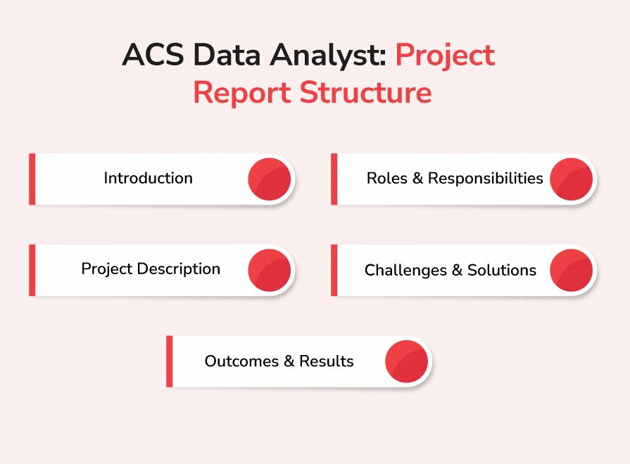 ACS Data Analyst Project Reports Structure